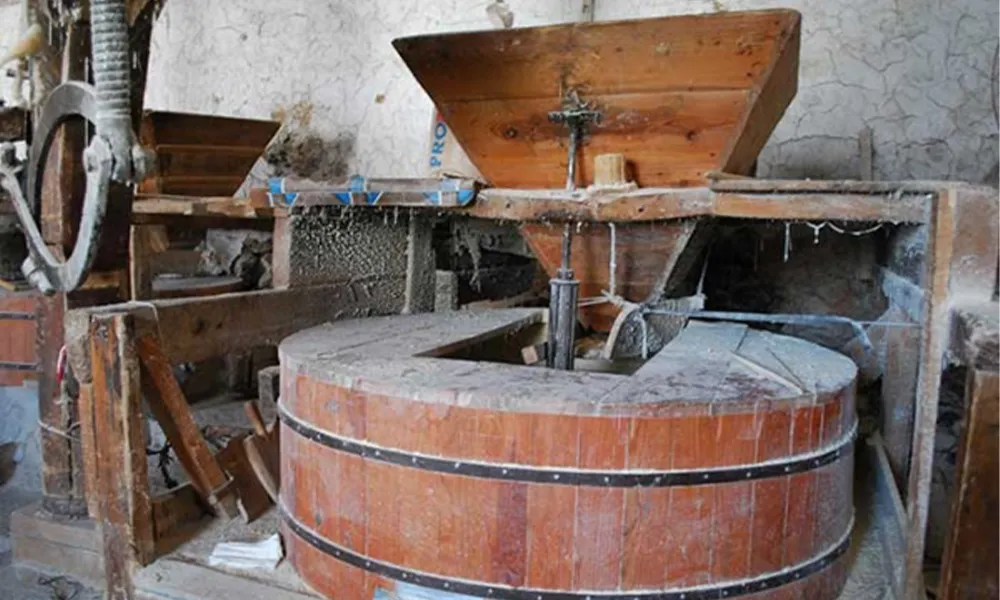 Bir Sözle Değişen Değirmen: “Sen Bilirsin” Demenin Gücü