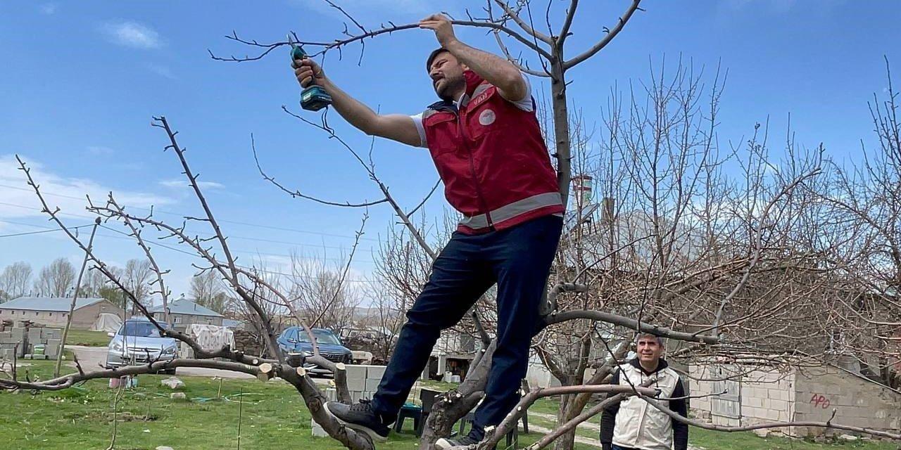 Çiftçilere Meyve Ağaçlarında Budama Eğitimi Verildi