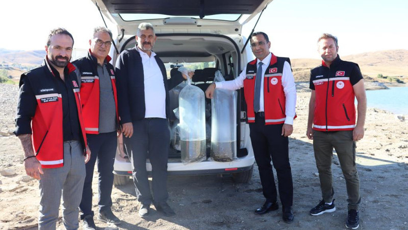 Sadak Barajına 120 bin sazan yavrusu bırakıldı