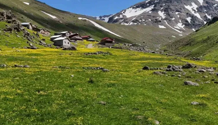 Gümüşhane’de 38 Kaçak Yapıya Yıkım Kararı: STK’lardan Sürece Tam Destek