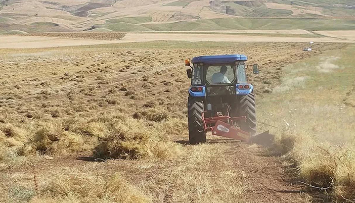 Kelkit’te Çiftçiler O Ürünlere Yöneldi, Arpa Buğday Unutuldu