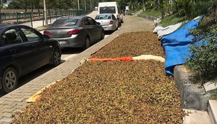 Sıra Geldi Kurutmaya