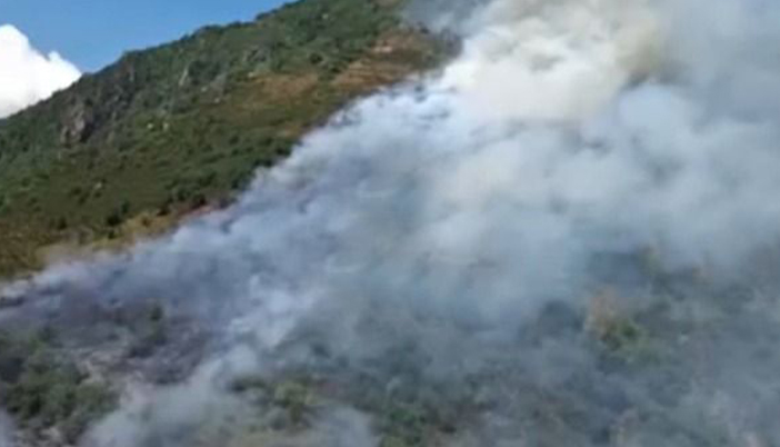 Kürtün’de Orman Yangını: Ekipler Müdahale İçin Bölgeye Sevk Edildi