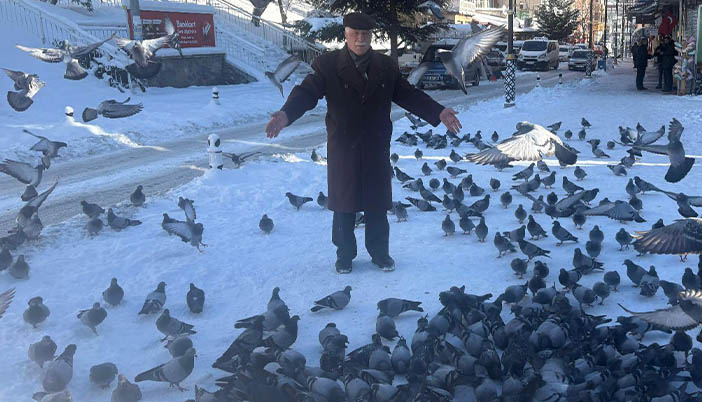 Onlar da Üşüyor, Acıkıyor: Sokaktaki Canları Yalnız Bırakmayalım