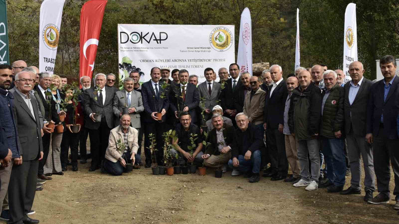 Kürtün’den Yeni Kalkınma Hamlesi: Süper Meyve ‘Aronya’