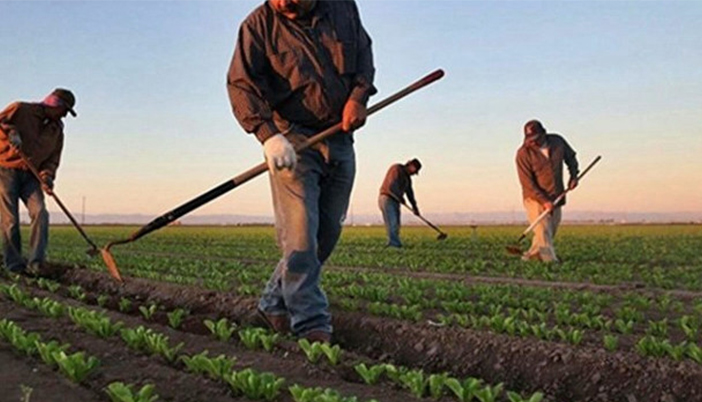 2026 Tarımı Öncesi Endişe Büyüyor: Çiftçi Çıkış Yolu Arıyor