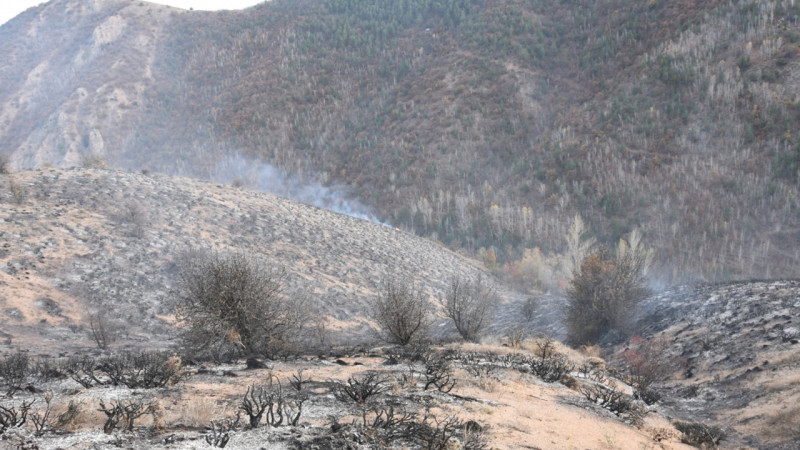 Gümüşhane’de Örtü Yangını Bitmiyor