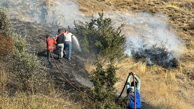 Kelkit’te 50 hektar alan yandı