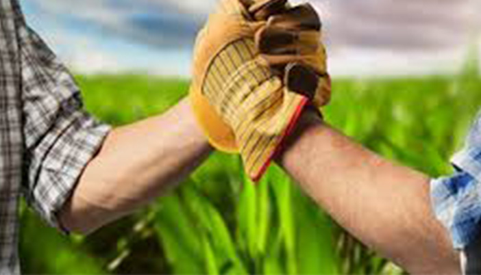 Kelkit’te Tarımsal Üretim ve Pazarlama İçin Yeni Kooperatif Kuruluyor