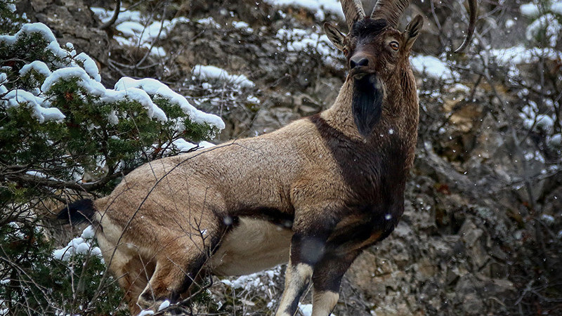 ‘Gümüşhane’nin Dahil Olduğu 15 Kentte Katliam Var!’