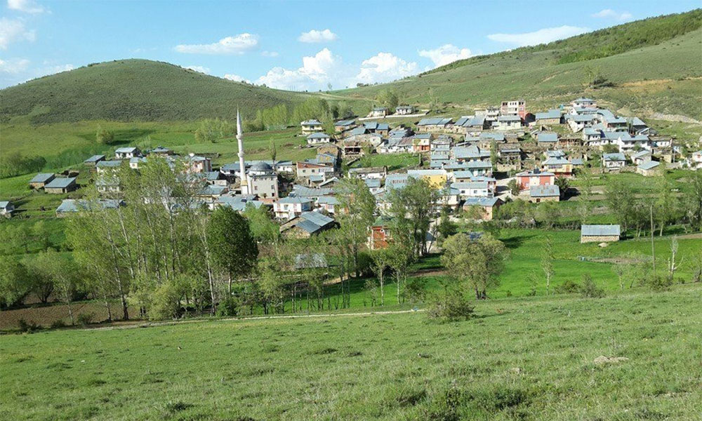 Gültepe Köyü: Kışın Nüfusu 100’ün Altına Düşüyor