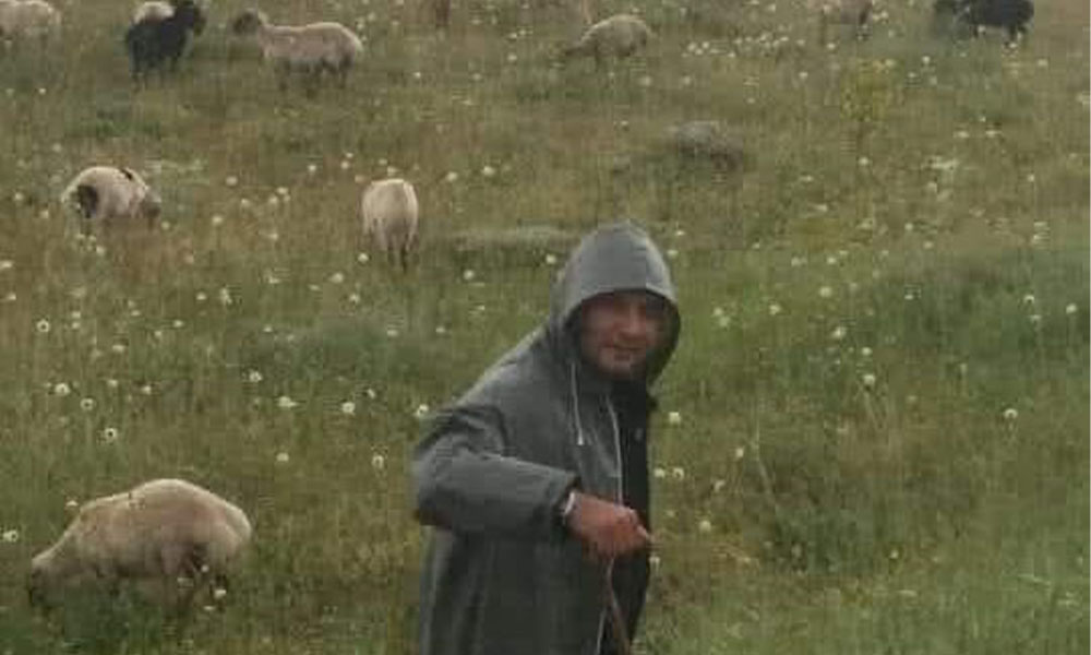 Gümüşhane’de Küçükbaş Hayvancılığa Dev Destek: Kadın ve Genç Üreticilere Öncelik