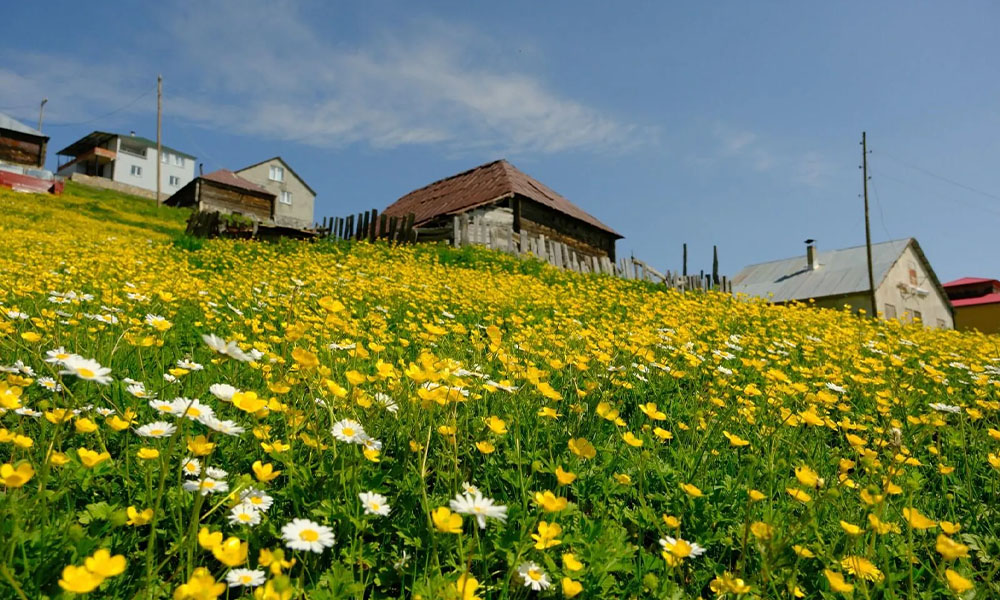 Gümüşhane’de Bahar Hazırlıkları Başladı: Köyler Canlanıyor