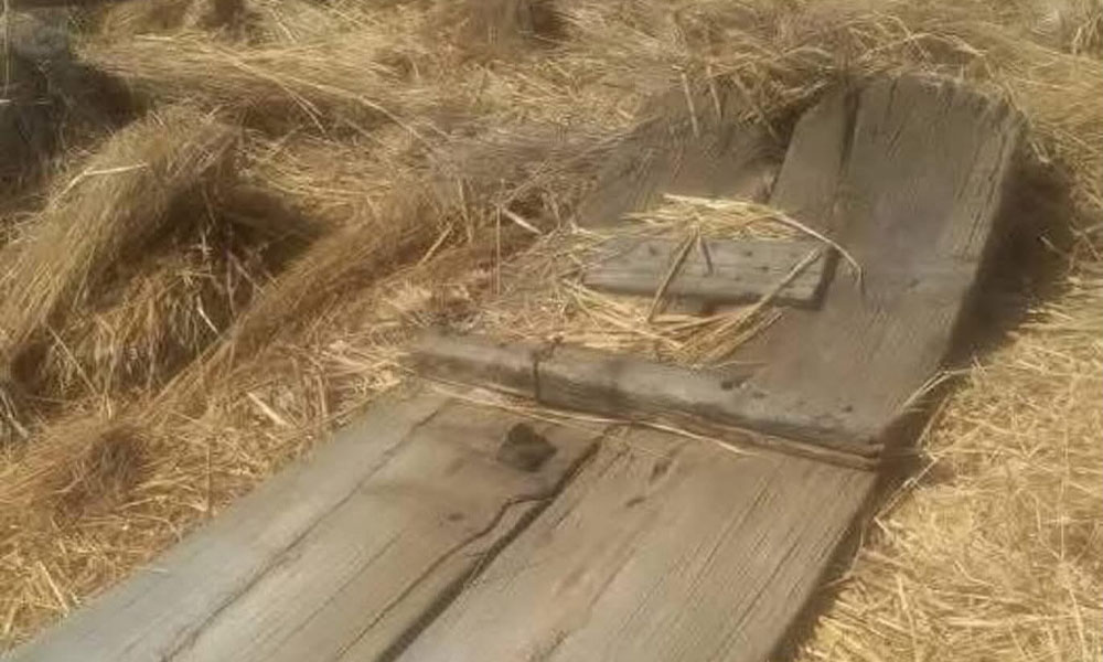 Gümüşhane Köylerinde Düven Geleneği Hala Devam Ediyor: Modern Çağda Atalardan Kalma Miras