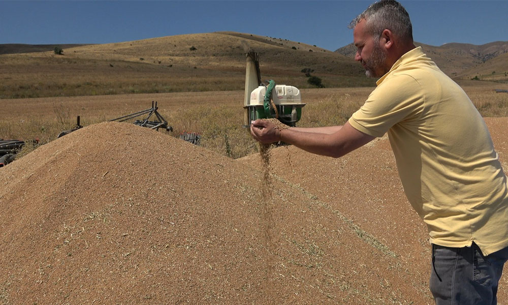 Gümüşhane Tarımı Tehdit Altında: Çiftçi Mazot, Gübre ve İlaç Zamlarını Düşünüyor