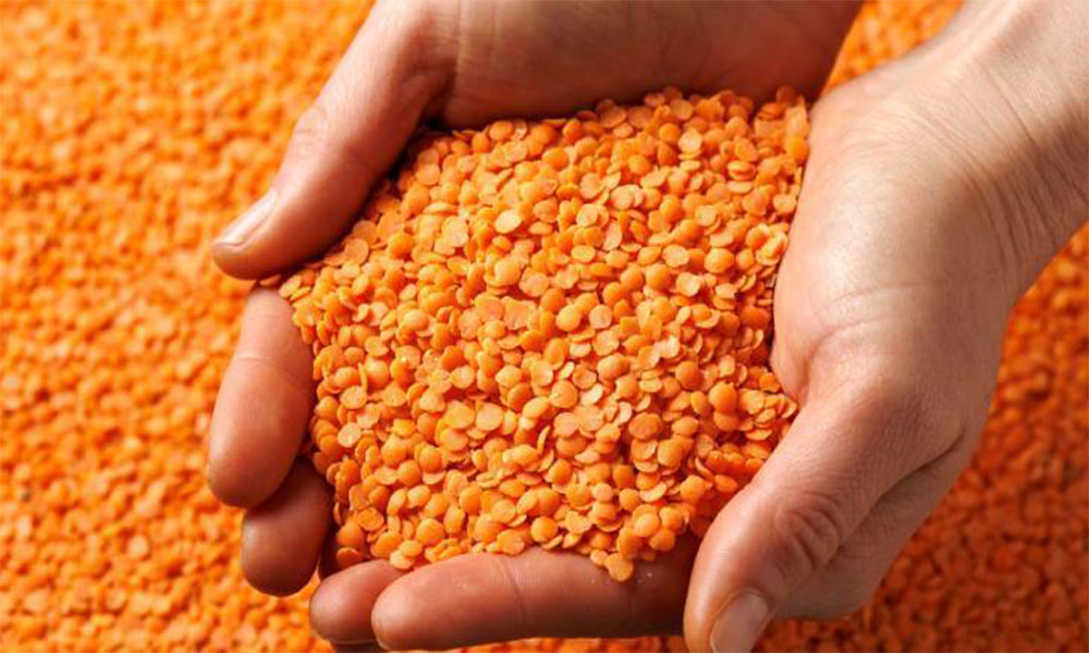 “Kelkit Ovası Gerçeği: İthal Ürünlerin Tamamı Bu Topraklarda Yetişebilir!”