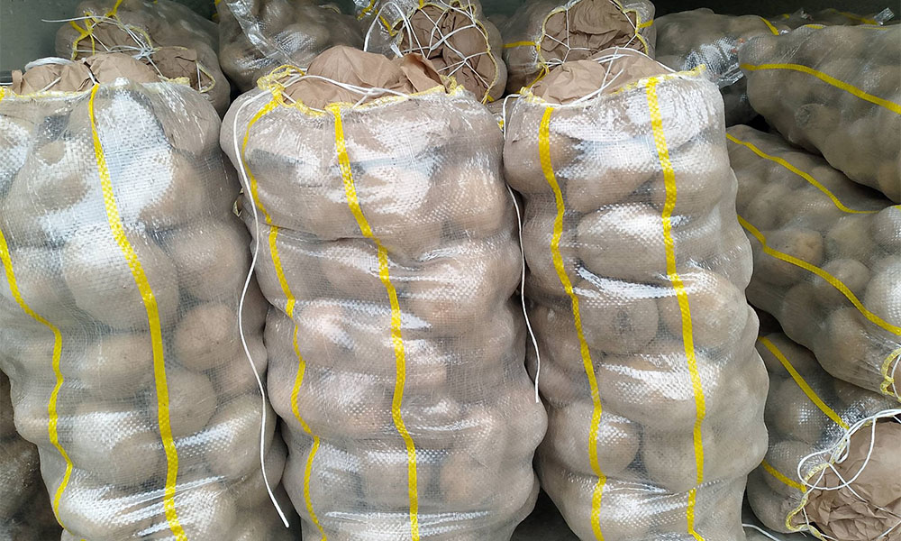 Köse’de Patatese Nefes Aldırma Planı: 2026’da Kısmi Ekim, 2027’de Verim Patlaması Bekleniyor