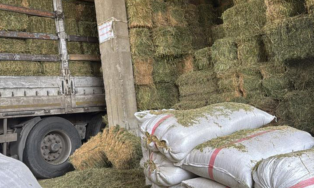 Çiftçinin Cebi Yine Yanacak! Savaşın Fitili Ateşlediği Zam Dalgası Gümüşhane’yi Vurdu: Ot 1000 TL, Saman 10 Bin TL